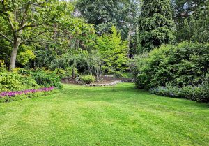 Optimiser l'expérience du jardin à Ormoy-la-Riviere